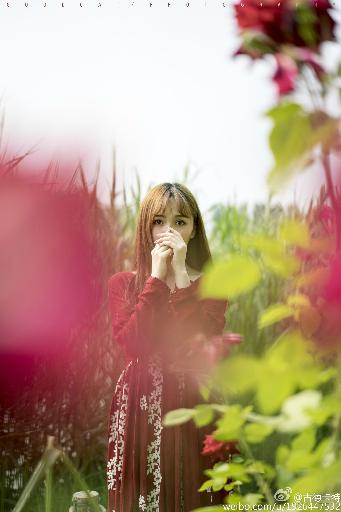 2025年天天免费资料百度中文