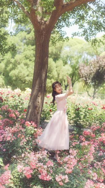 在线观看免费高清电影完整